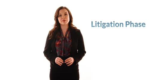 Litigation